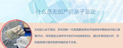 沈阳胎儿亲子鉴定中心电话多少，沈阳胎儿亲子鉴定中心预约办理