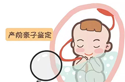 沈阳怀孕亲子鉴定机构去哪里（中鉴中正不错）